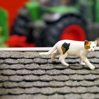 Gartenbahn 2024-10 Röhrsdorf - Modelleisenbahnclub Kreischa e.V.